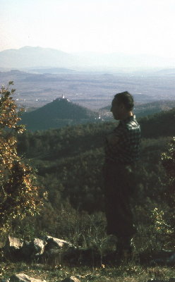 tomicich.jpg